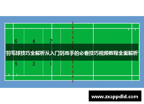 羽毛球技巧全解析从入门到高手的必看技巧视频教程全面解析